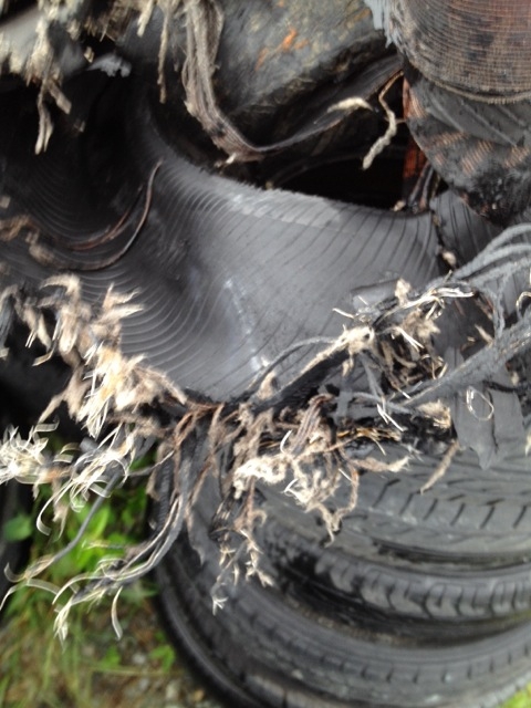 �^�C���ƌC�́@�d�v�ł���